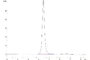 Size-exclusion chromatography-High Pressure Liquid Chromatography (SEC-HPLC) image for Interleukin 13 Receptor, alpha 1 (IL13RA1) (AA 27-343) protein (His-Avi Tag,Biotin) (ABIN7275038)