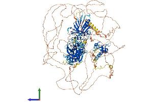 AlphaFold protein structure predicition of Human Recombinant ZFYVE9 Protein, UniprotID O95405