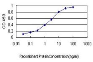 Detection limit for recombinant GST tagged RNF139 is approximately 0. (RNF139 抗体  (AA 565-664))