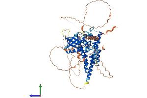 Protein Structure (PS) image for Rho Guanine Nucleotide Exchange Factor 25 (ARHGEF25) (AA 1-618) protein (His tag) (ABIN7564954)