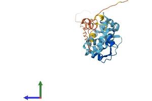 Protein Structure (PS) image for Kv Channel Interacting Protein 3, Calsenilin (KCNIP3) (AA 1-256) protein (His tag) (ABIN7553597)