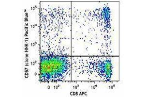 Flow Cytometry (FACS) image for anti-beta-1,3-Glucuronyltransferase 1 (Glucuronosyltransferase P) (B3GAT1) antibody (Pacific Blue) (ABIN2662173) (CD57 抗体  (Pacific Blue))