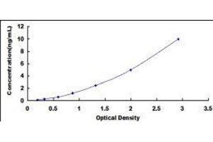 Glutamate Receptor, Ionotropic, N-Methyl D-Aspartate 2a (GRIN2A) ELISA Kit