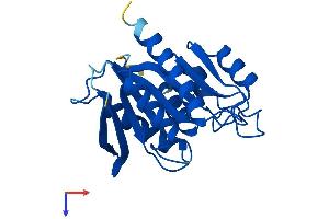 AlphaFold protein structure predicition of Mouse Recombinant Tex30 Protein, UniprotID Q3TUU5