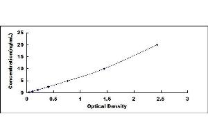 Typical standard curve (LDHB ELISA 试剂盒)