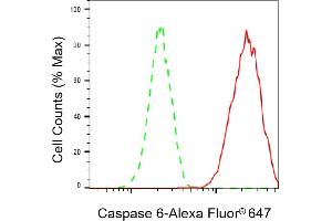 Flow cytometric analysis of Caspase 6 expression in HAP-1 cells using Caspase 6 antibody (ABIN7797899), 1:2,000). (Recombinant Caspase 6 抗体)