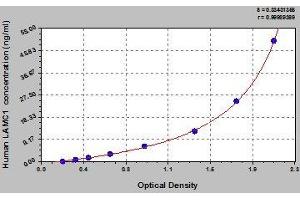 Typical standard curve (Laminin gamma 1 ELISA 试剂盒)