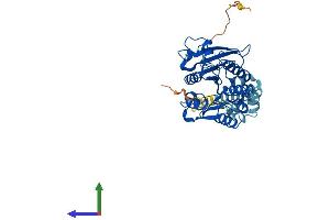 Protein Structure (PS) image for Abhydrolase Domain Containing 12 (ABHD12) (AA 1-398) protein (His tag) (ABIN7551843)
