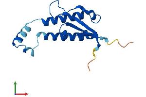 Protein Structure (PS) image for Golgin A7 (GOLGA7) (AA 1-137) protein (His tag) (ABIN7560012)
