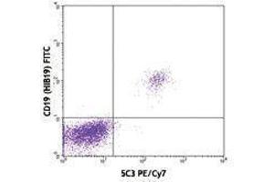 Flow Cytometry (FACS) image for anti-CD40 (CD40) antibody (PE-Cy7) (ABIN2659262) (CD40 抗体  (PE-Cy7))