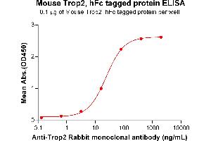 ELISA image for Tumor-Associated Calcium Signal Transducer 2 (TACSTD2) (AA 25-270) protein (Fc Tag) (ABIN7092858)