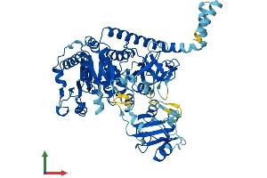 Protein Structure (PS) image for Solute Carrier Family 27 (Fatty Acid Transporter), Member 4 (SLC27A4) (AA 1-643) protein (His tag) (ABIN7564783)