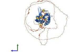 AlphaFold protein structure predicition of Mouse Recombinant Tmem145 Protein, UniprotID Q8C4U2 (TMEM145 Protein (AA 1-746) (His tag))