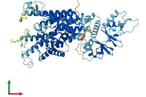 Protein Structure (PS) image for Chloride Channel 4 (CLCN4) (AA 1-747) protein (His tag) (ABIN7557702)