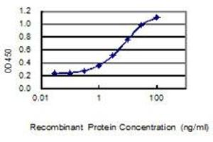 Detection limit for recombinant GST tagged VSTM1 is 0. (VSTM1 抗体  (AA 1-174))