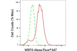 Flow cytometric analysis of WBP2 expression in HepG2 cells using WBP2 antibody (ABIN7800868), 1:2,000). (WBP2 抗体)
