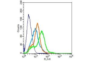 RSC96 probed with KCNQ2 Polyclonal Antibody, Unconjugated  ) at 3ug for 30 minutes followed by incubation with a conjugated secondary -FITC) (green) for 30 minutes compared to control cells (blue), secondary only (light blue) and isotype control (orange). (KCNQ2 抗体  (AA 91-150))
