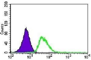 Flow cytometric analysis of HeLa cells using KIF11 mouse mAb (green) and negative control (purple).