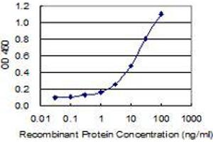 Detection limit for recombinant GST tagged CNTLN is 0. (CNTLN 抗体  (AA 971-1070))