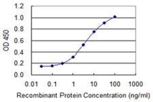 ELISA image for anti-Tumor Necrosis Factor Receptor Superfamily, Member 17 (TNFRSF17) (AA 1-184) antibody (ABIN513690)
