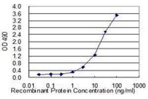 Sandwich ELISA detection sensitivity ranging from 1 ng/mL to 100 ng/mL.