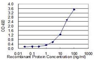 Sandwich ELISA detection sensitivity ranging from 1 ng/mL to 100 ng/mL. (SERPINB1 (人) Matched Antibody Pair)