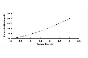 Typical standard curve (ADRB1 ELISA 试剂盒)