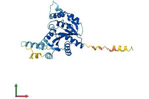AlphaFold protein structure predicition of Human Recombinant GPN3 Protein, UniprotID Q9UHW5