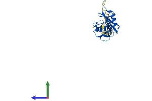 Protein Structure (PS) image for Killer Cell Lectin-Like Receptor Subfamily G, Member 1 (KLRG1) (AA 1-188) protein (His tag) (ABIN7562657)