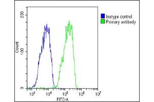 Overlay histogram showing HepG2 cells stained with (ABIN6243635 and ABIN6578785)(green line). (Chemerin 抗体  (AA 89-133))