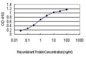 Detection limit for recombinant GST tagged CDC42BPA is approximately 0. (CDC42BPA 抗体  (AA 551-650))