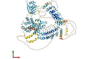 Protein Structure (PS) image for Ankyrin Repeat Domain 27 (VPS9 Domain) (ANKRD27) (AA 1-1050) protein (His tag) (ABIN7552188)
