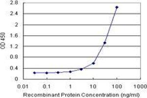 Sandwich ELISA detection sensitivity ranging from 3 ng/mL to 100 ng/mL. (CD209 (人) Matched Antibody Pair)