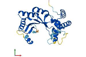 Protein Structure (PS) image for Potassium Voltage-Gated Channel, Shaker-Related Subfamily, beta Member 3 (KCNAB3) (AA 1-249) protein (His tag) (ABIN7556799)