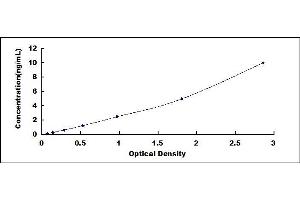 Typical standard curve (C1R ELISA 试剂盒)