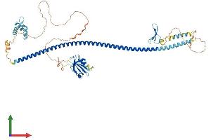 Protein Structure (PS) image for Syntaxin Binding Protein 4 (STXBP4) (AA 1-553) protein (His tag) (ABIN7546455)