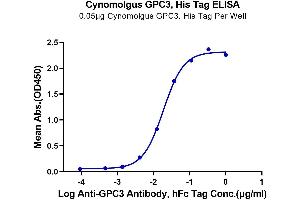 ELISA image for Glypican 3 (GPC3) (AA 25-559) protein (His tag) (ABIN7274772)
