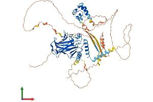 Protein Structure (PS) image for Tumor Protein P63 (TP63) (AA 1-680) protein (His tag) (ABIN7562686)