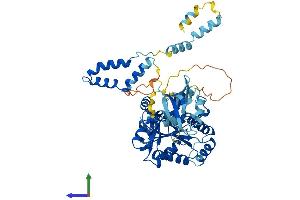 AlphaFold protein structure predicition of Human Recombinant PALS2 Protein, UniprotID Q9NZW5