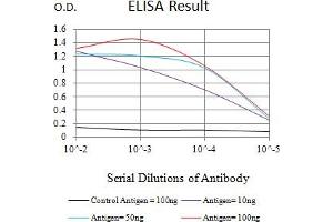 Black line: Control Antigen (100 ng),Purple line: Antigen (10 ng), Blue line: Antigen (50 ng), Red line:Antigen (100 ng) (PI16 抗体  (AA 79-210))