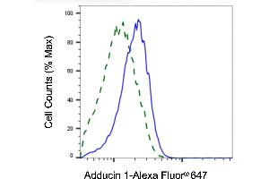 Validation of Adducin 1 knockdown using flow cytometry. (alpha Adducin 抗体)