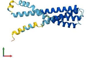 Protein Structure (PS) image for Signal Sequence Receptor gamma (SSRg) (AA 1-185) protein (His tag) (ABIN7546418)