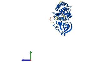Protein Structure (PS) image for Protein Kinase Protein SgK196 (SGK196) (AA 1-349) protein (His tag) (ABIN7557088)