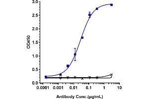 Immobilized human LAG3 (His Tag, 2 μg/mL) can bind to Anti- Human LAG3( Relatlimab)with an EC50 of 0. (Recombinant LAG3 (Relatlimab Biosimilar) 抗体)
