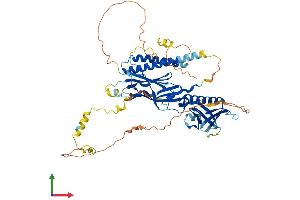 Protein Structure (PS) image for Rhotekin (RTKN) (AA 1-564) protein (His tag) (ABIN7559168)
