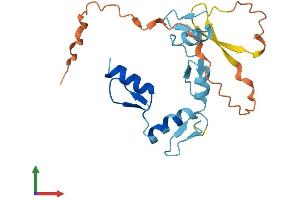 AlphaFold protein structure predicition of Human Recombinant ZNF581 Protein, UniprotID Q9P0T4