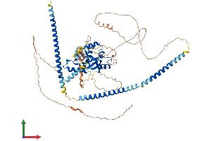 Protein Structure (PS) image for SKI-Like Oncogene (SKIL) (AA 1-684) protein (His tag) (ABIN7546126)