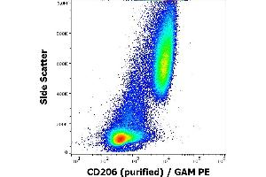 Flow cytometry surface staining pattern of human stimulated (GM-CSF + IL-4) peripheral blood mononuclear cells stained using anti-human CD206 (15-2) purified antibody (concentration in sample 9 μg/mL), GAM PE.