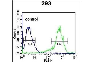 KARS Antibody (N-term) (ABIN655049 and ABIN2844677) flow cytometric analysis of 293 cells (right histogram) compared to a negative control cell (left histogram). (KARS 抗体  (N-Term))