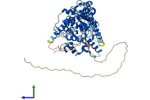 Protein Structure (PS) image for Cryptochrome 2 (Photolyase-Like) (CRY2) (AA 1-592) protein (His tag) (ABIN7565183)
